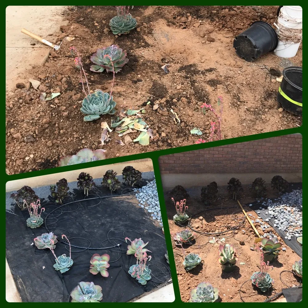 Top-rated yard maintenance experts serving Chula Vista, CA - All Natural Landscaping