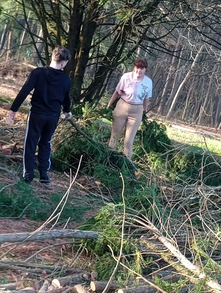 Custom yard maintenance for outdoor upgrades across Delmar, DE - All Natural Landscaping