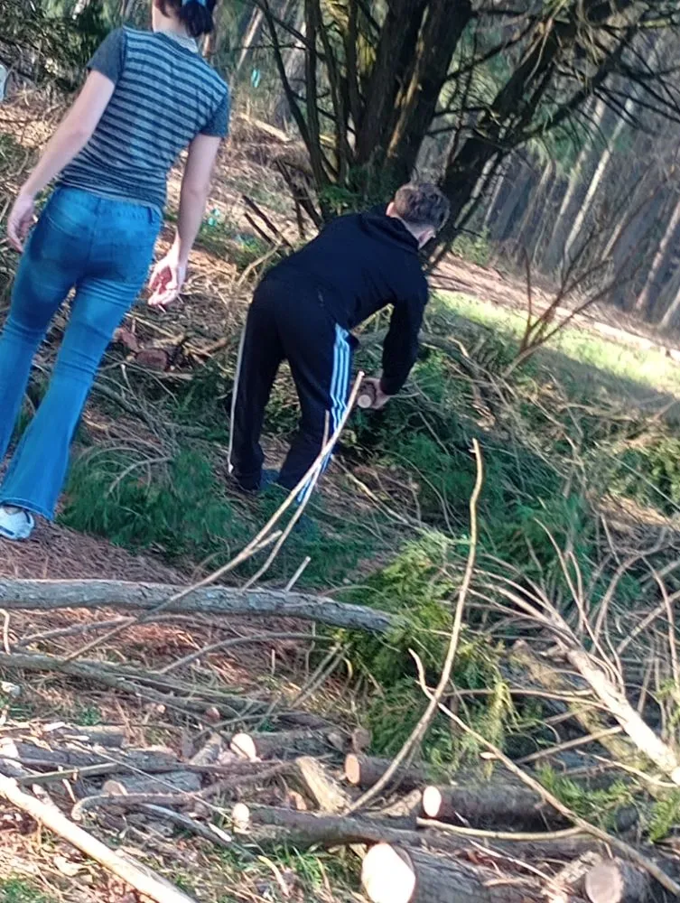 Top-rated residential landscaping for beautiful yards in Delmar, DE by All Natural Landscaping