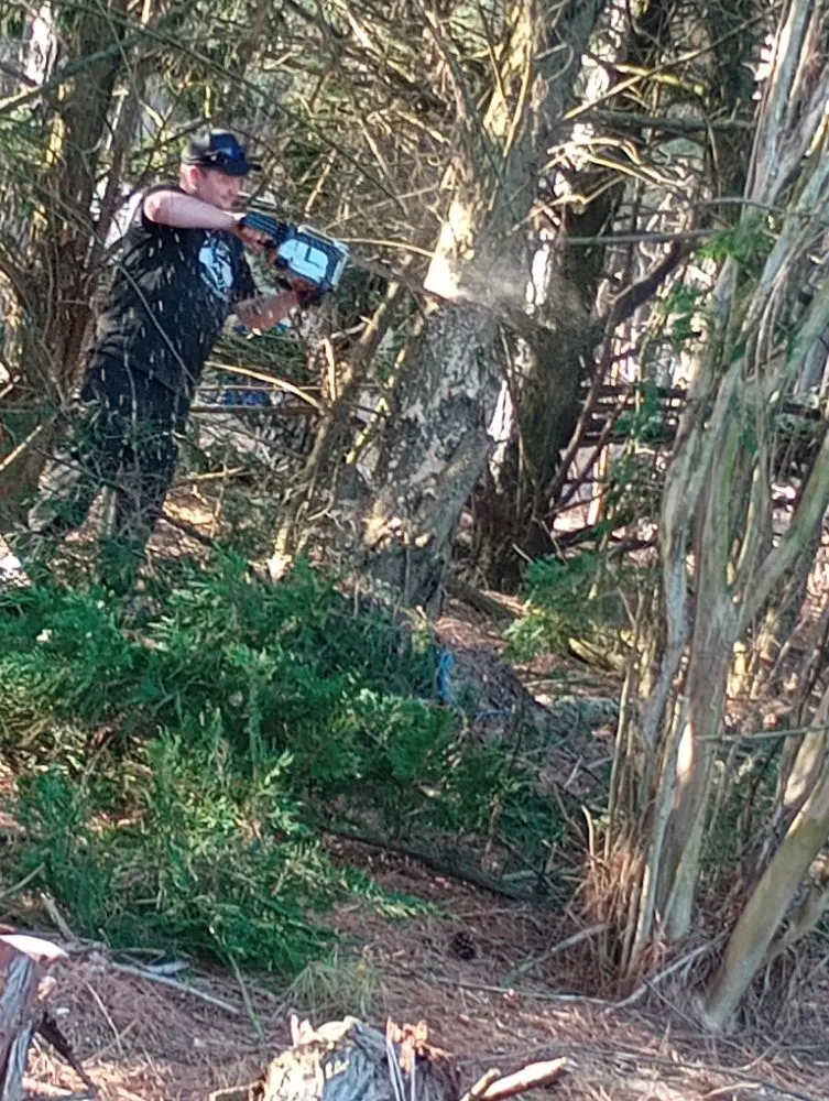 Local landscaping services in Delmar, DE by All Natural Landscaping