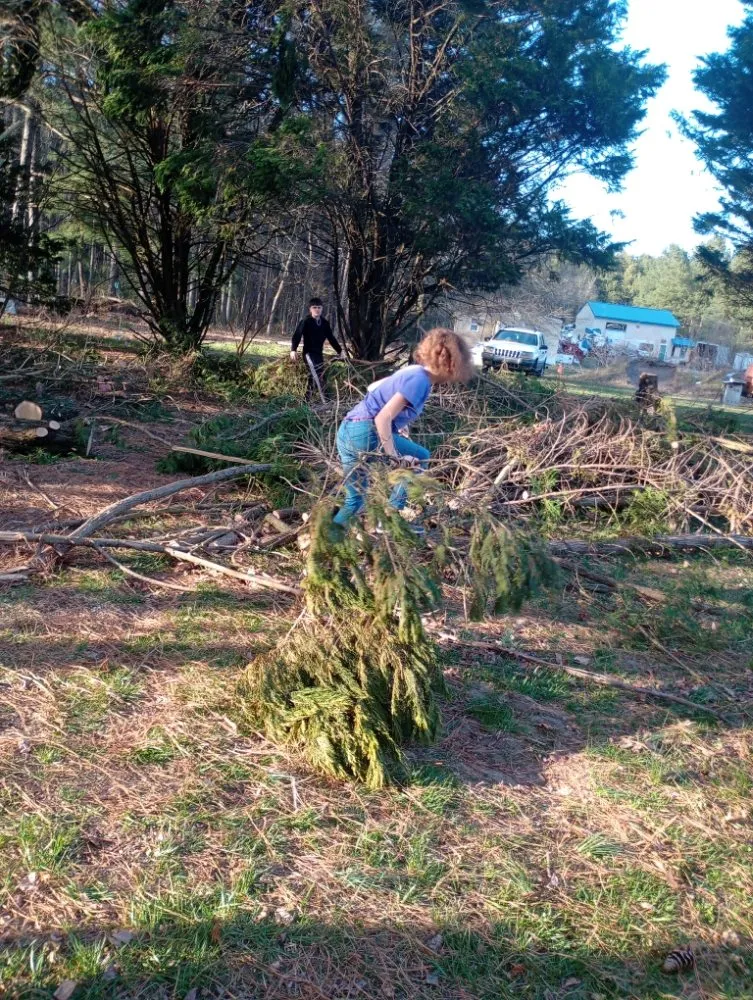 Trusted lawn care service for residential properties in Delmar, DE by All Natural Landscaping