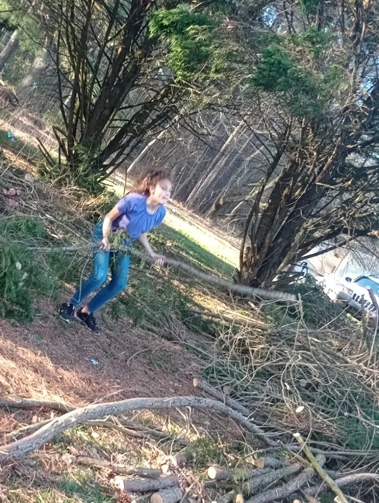 Local outdoor landscaping in Delmar, DE by All Natural Landscaping