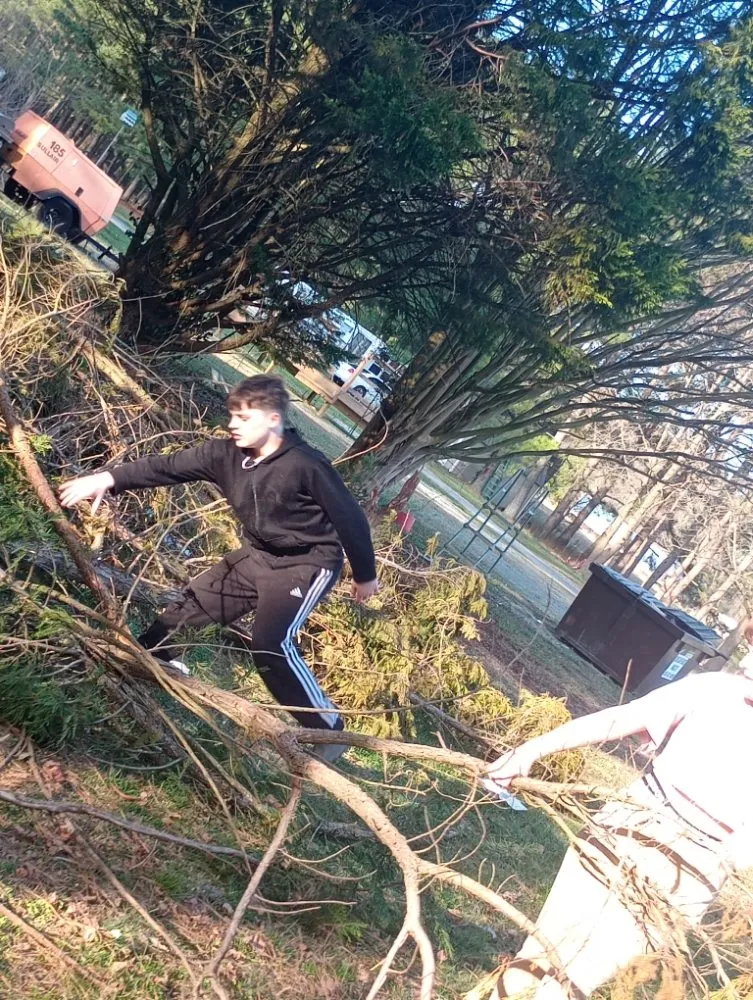 Custom garden landscaping experts serving Delmar, DE - All Natural Landscaping