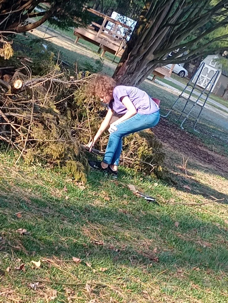 Expert residential landscaping experts serving Delmar, DE - All Natural Landscaping