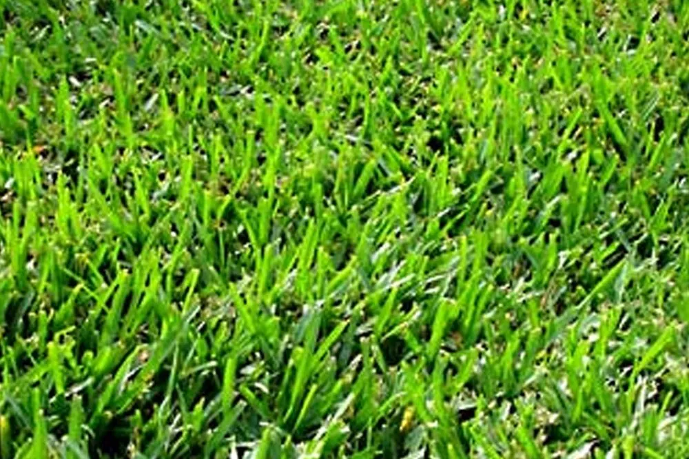 Custom yard cleanup service in Tyler, TX by All Natural Stone & Grass