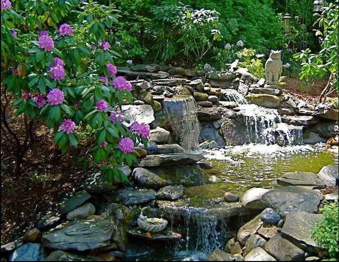 Top-rated lawn care service near you in Charlotte, NC by All Natural Streams Landscaping