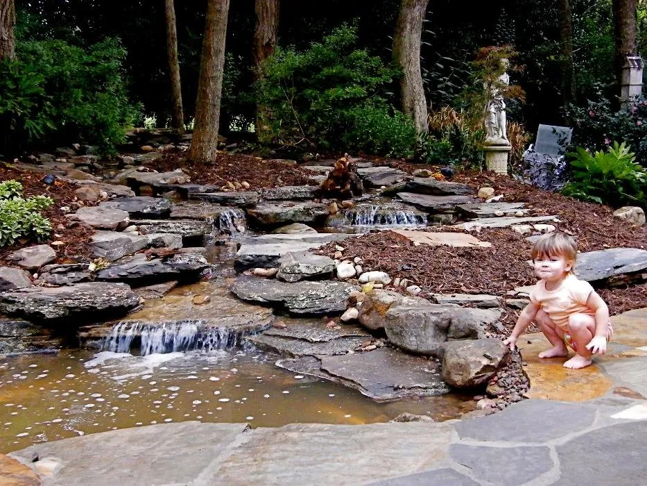 Affordable yard maintenance in Charlotte, NC by All Natural Streams Landscaping