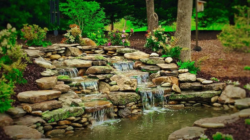 Professional lawn care service for residential properties in Charlotte, NC by All Natural Streams Landscaping