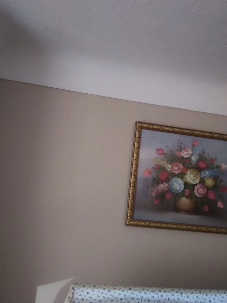 Local yard cleanup service in Wickliffe, OH - All Need Handy Working