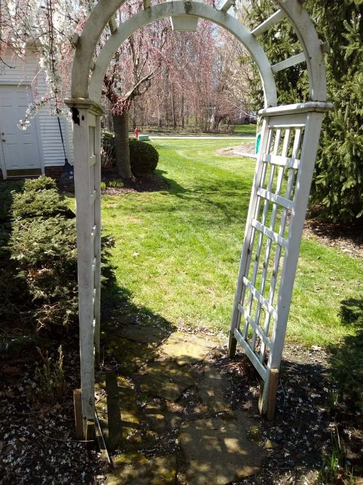 Professional yard cleanup service in Wickliffe, OH by All Need Handy Working