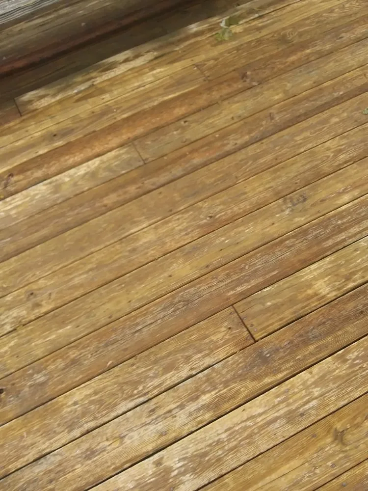 Local yard maintenance experts serving Wickliffe, OH - All Need Handy Working