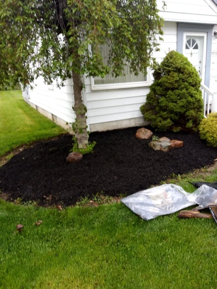 Affordable yard cleanup service in Wickliffe, OH by All Need Handy Working
