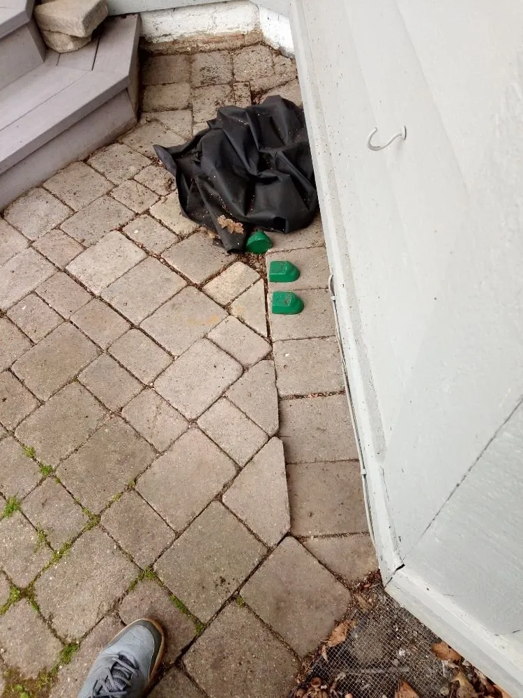 Reliable lawn care service experts serving Wickliffe, OH - All Need Handy Working