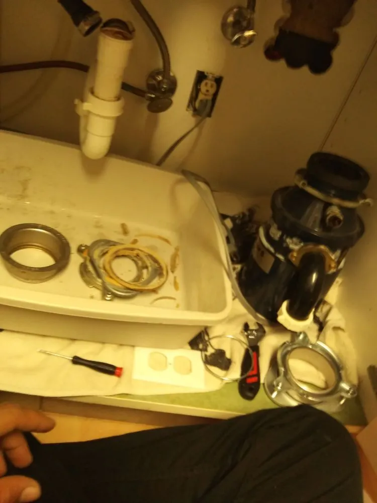 Top-rated lawn care service experts serving Wickliffe, OH - All Need Handy Working