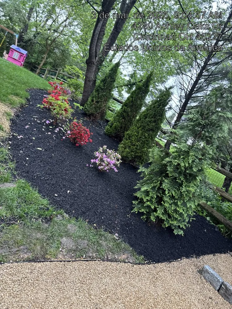 Affordable yard cleanup service for residential properties across Deerfield Beach, FL - All New Landscaping