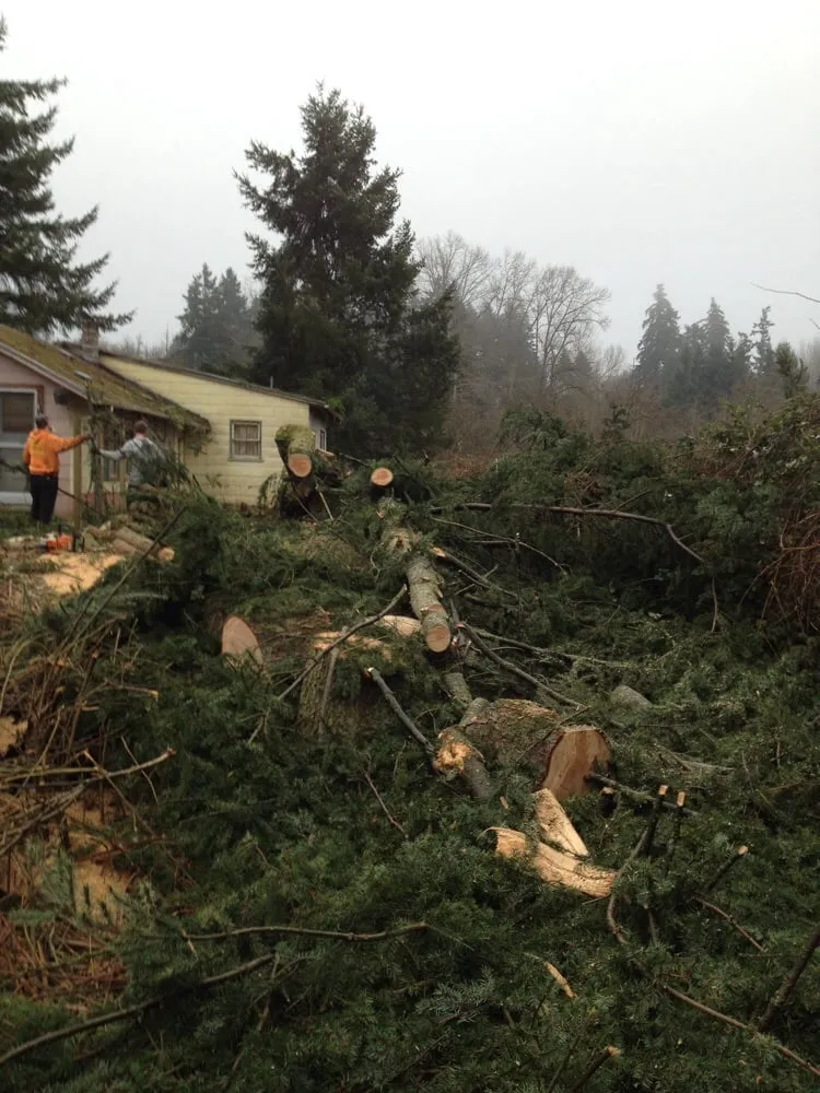 Affordable landscape design for outdoor upgrades across Olympia, WA - All Northwest Tree Services & Landscaping