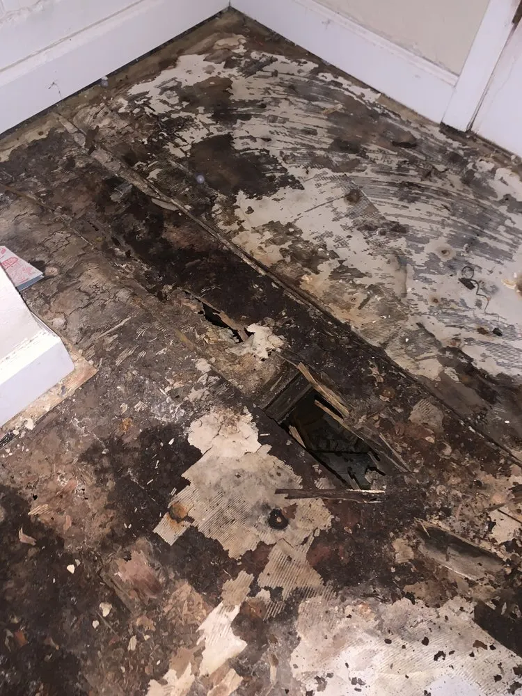 Top-rated garden landscaping for homes in Peoria, IL by All Of Our Services