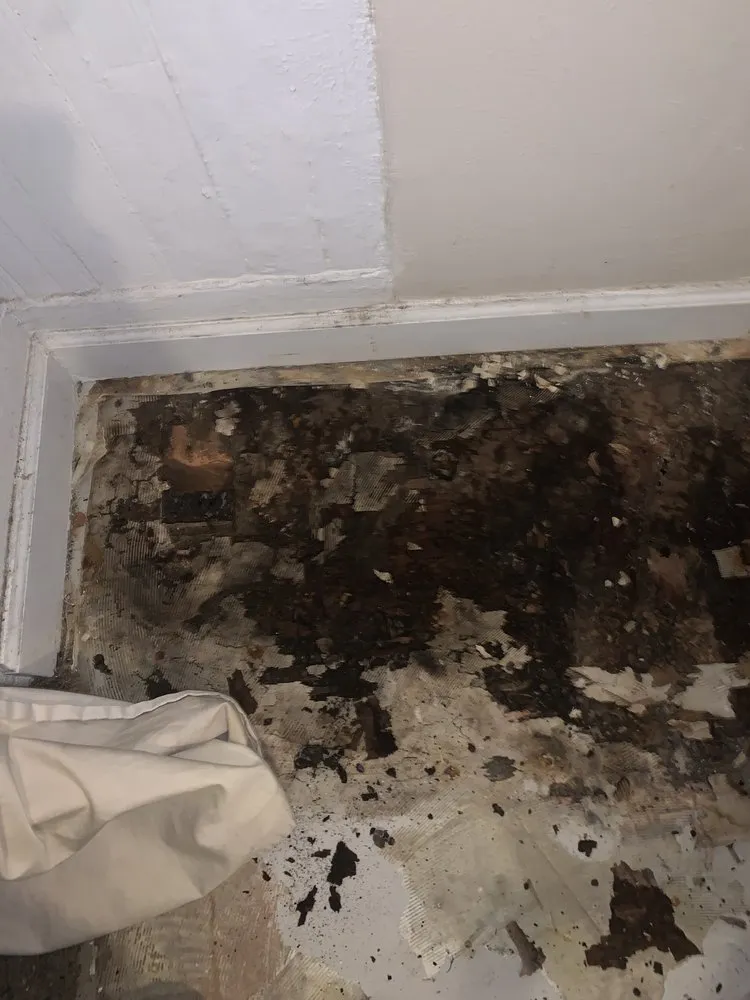 Custom yard cleanup service in Peoria, IL - All Of Our Services