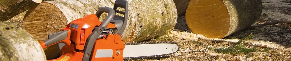 Local yard cleanup service in Orange Park, FL by All Of The Above Landscaping