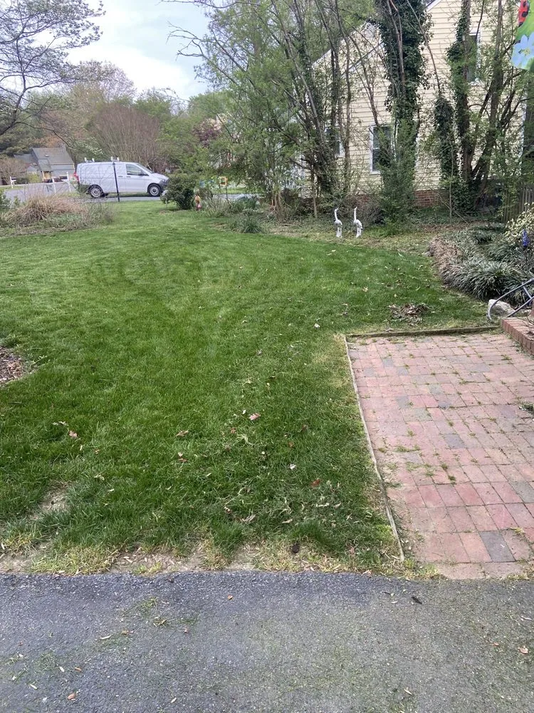 Top-rated landscaping services in Richmond, VA - All Official Lawncare