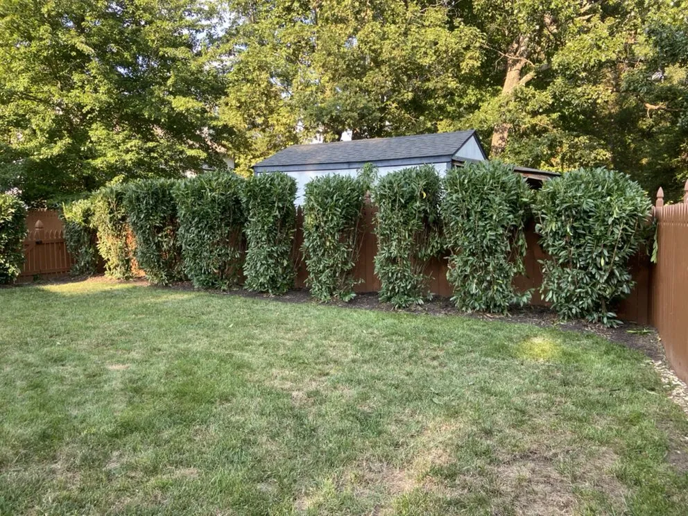 Top-rated residential landscaping in Richmond, VA - All Official Lawncare