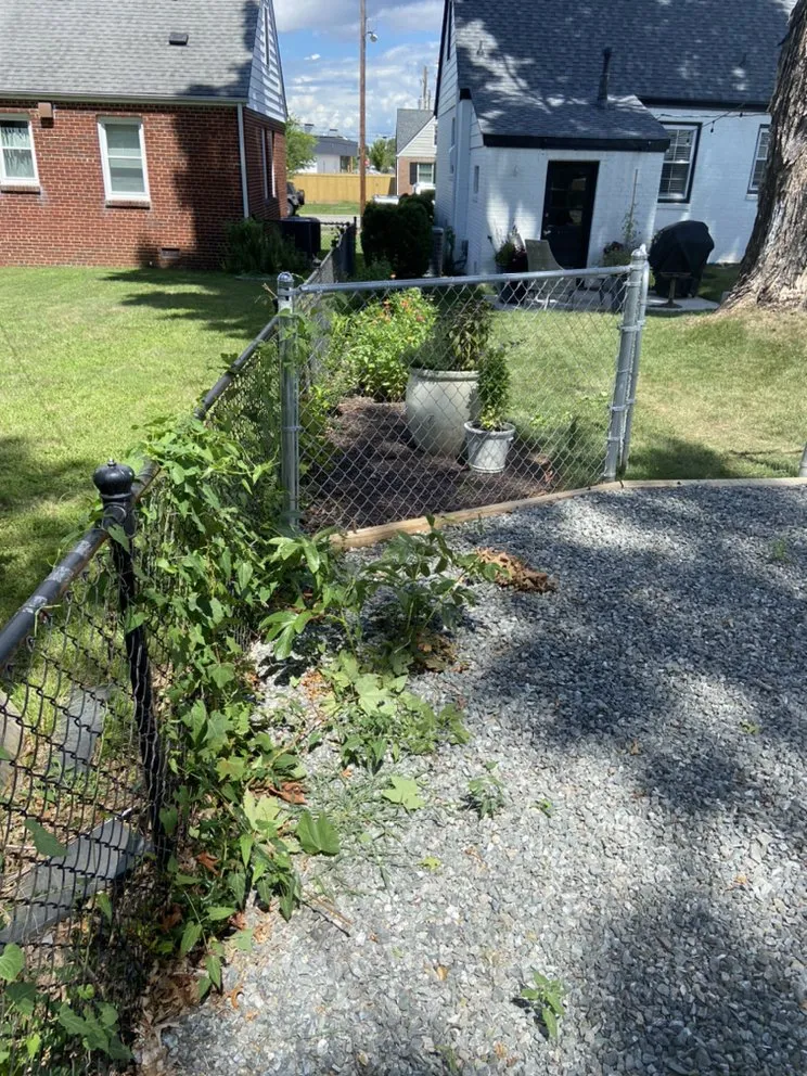 Reliable residential landscaping in Richmond, VA - All Official Lawncare