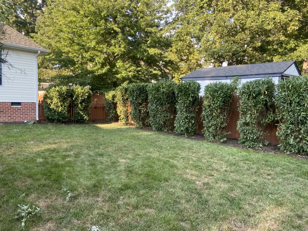 Expert landscape design in Richmond, VA by All Official Lawncare