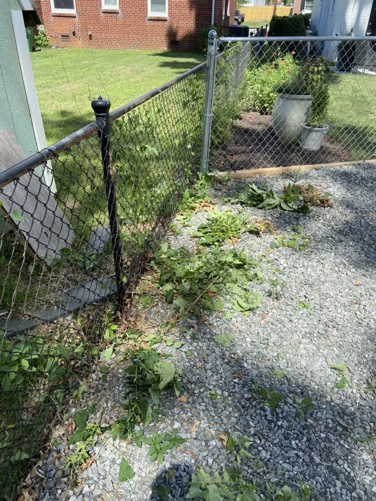 Custom yard cleanup service for residential properties across Richmond, VA - All Official Lawncare