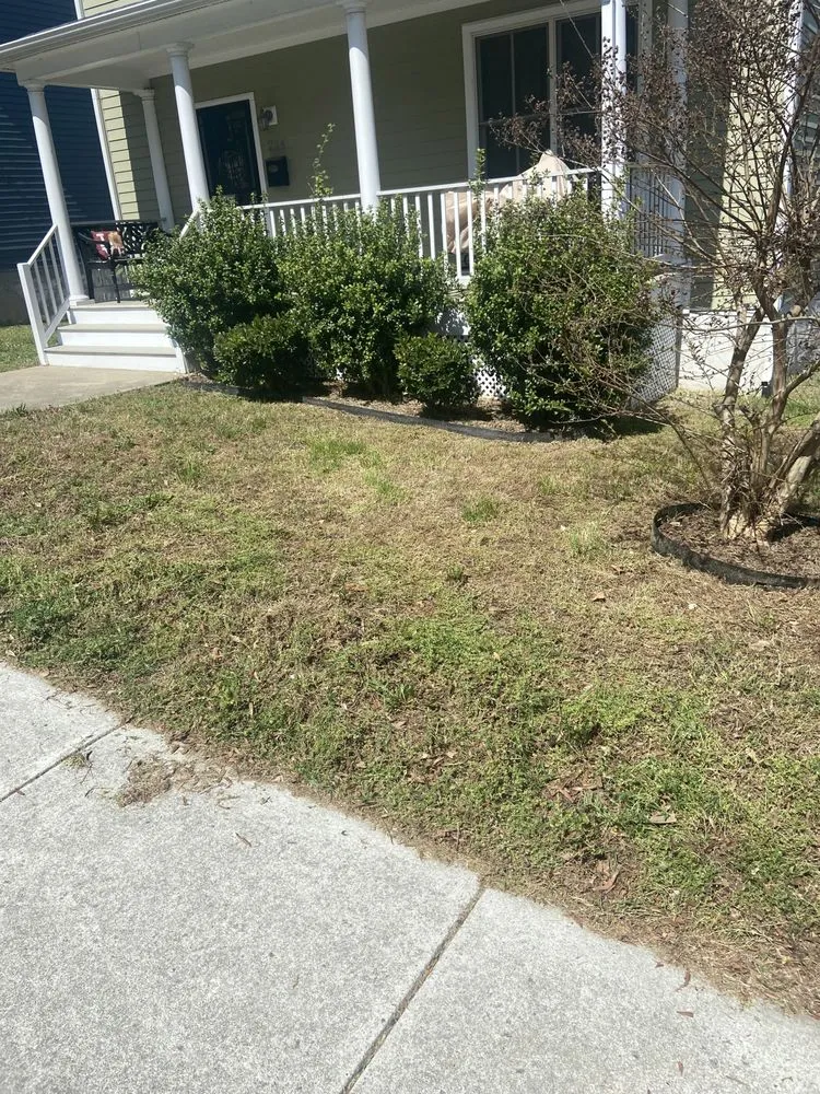 Affordable landscape design experts serving Richmond, VA - All Official Lawncare