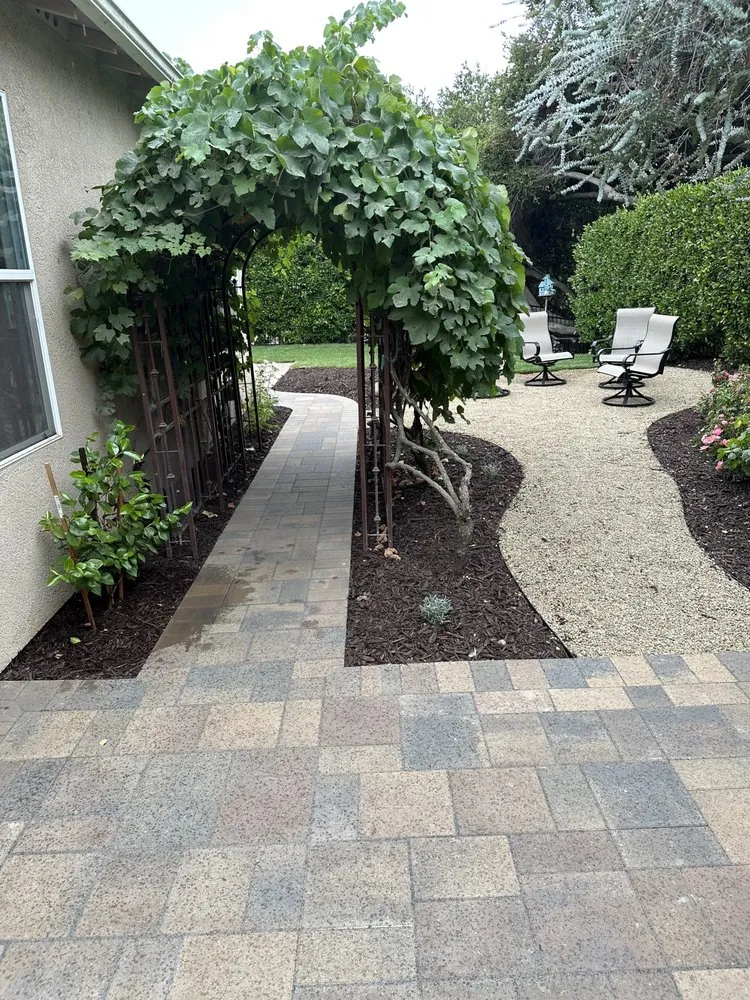 Custom yard maintenance in Gilroy, CA - All One Landscape