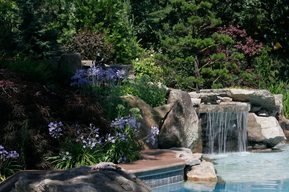 Professional yard maintenance in Sherwood, OR - All Oregon Landscaping