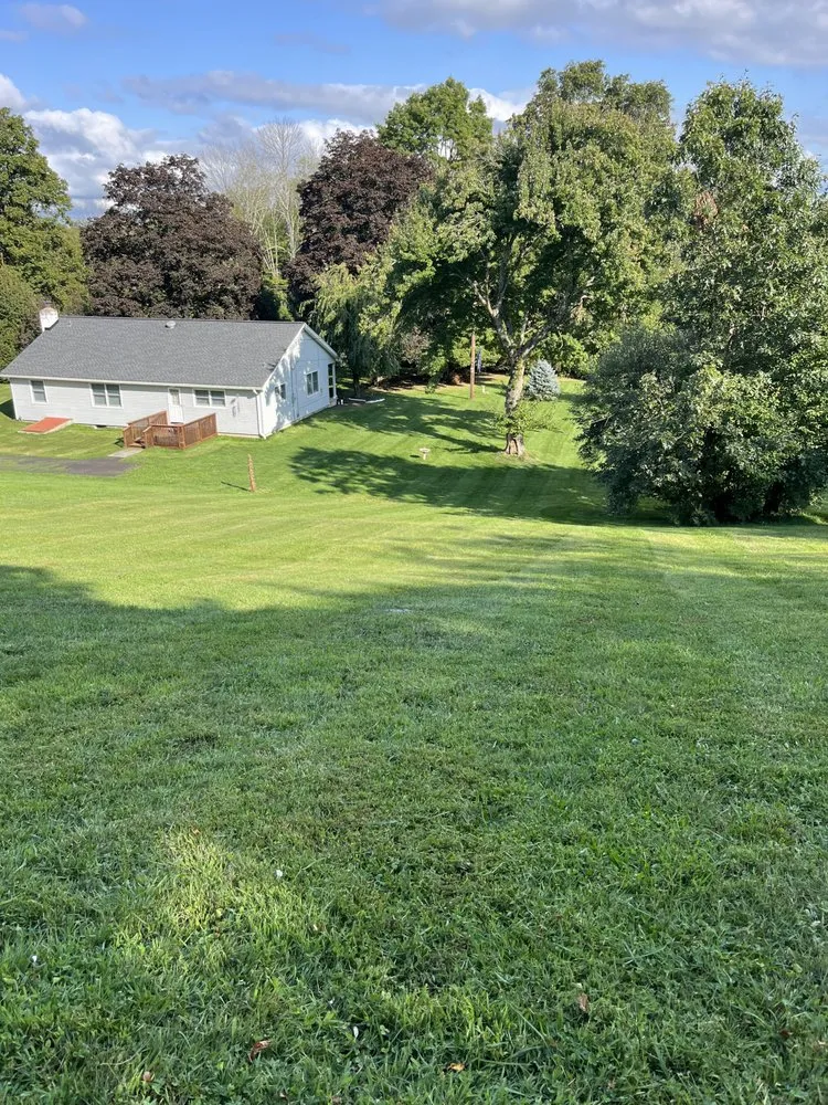 Expert yard cleanup service in Columbia, NJ by All Out Construction And Landscaping