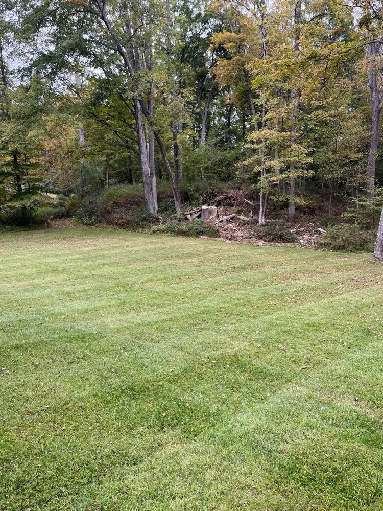 Trusted yard cleanup service with custom design across Columbia, NJ - All Out Construction And Landscaping