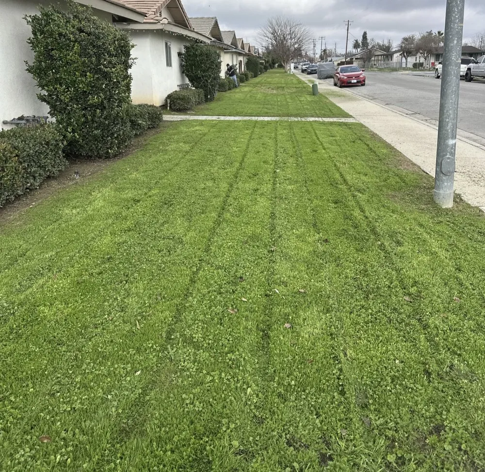 Trusted yard maintenance for year-round maintenance across Bakersfield, CA - All Out Exteriors