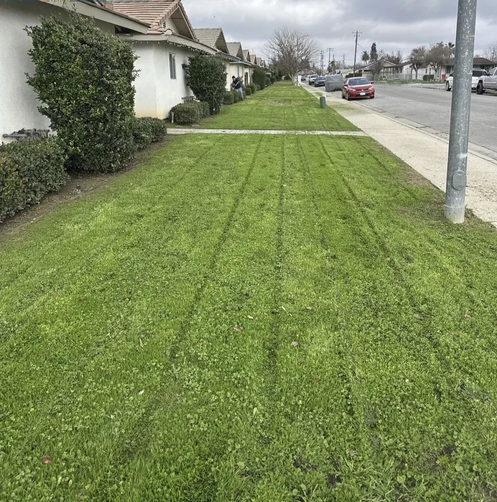 Expert landscaping services in Bakersfield, CA by All Out Exteriors