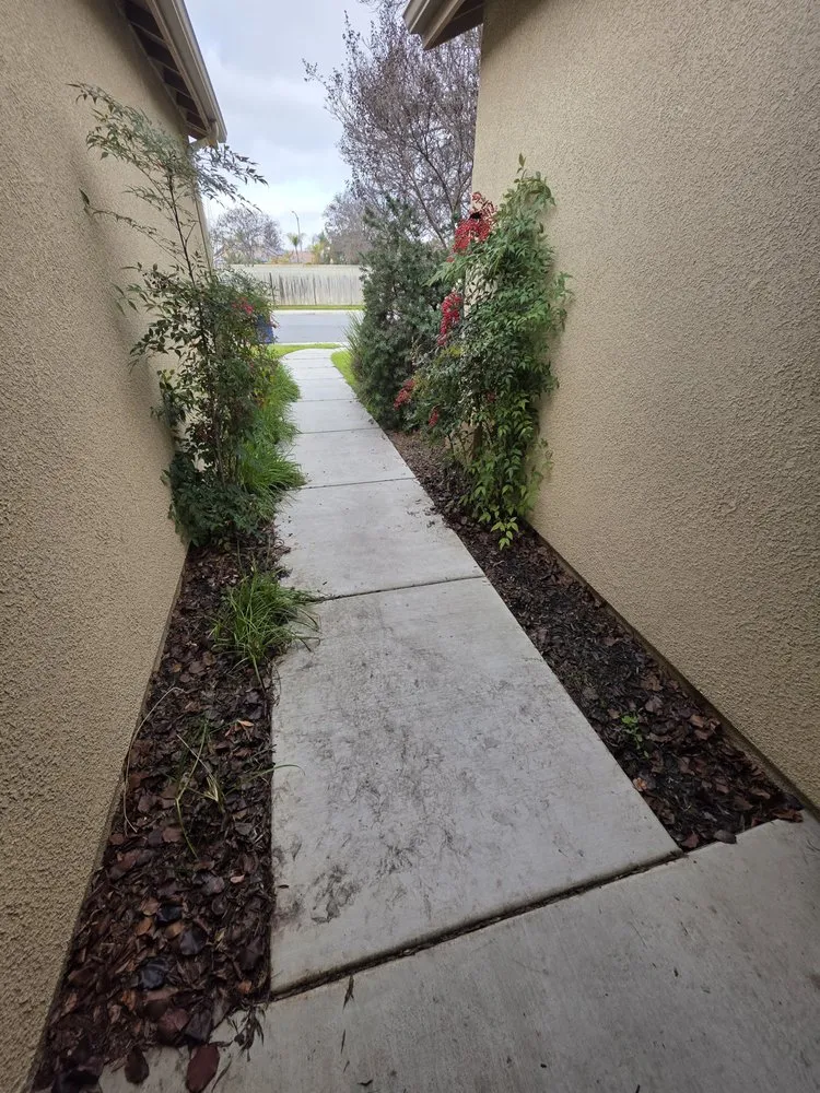 Reliable outdoor landscaping experts serving Bakersfield, CA - All Out Exteriors