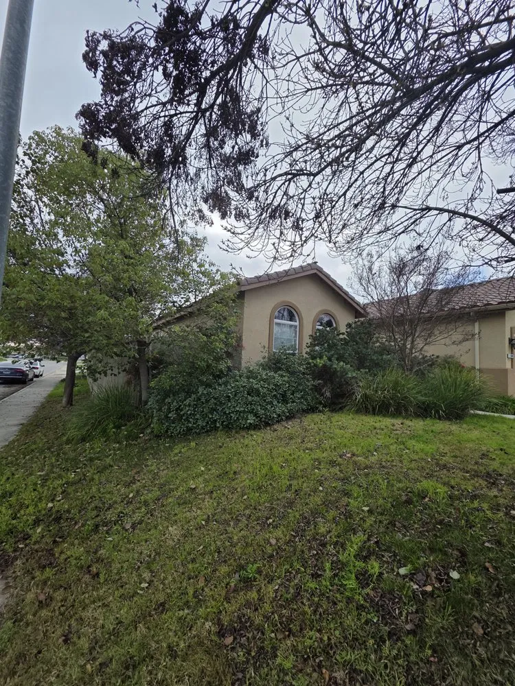 Expert landscape installation in Bakersfield, CA - All Out Exteriors