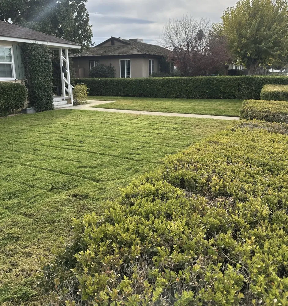 Local yard maintenance for residential properties across Bakersfield, CA - All Out Exteriors