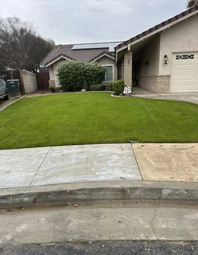 Trusted lawn care service in Bakersfield, CA - All Out Exteriors