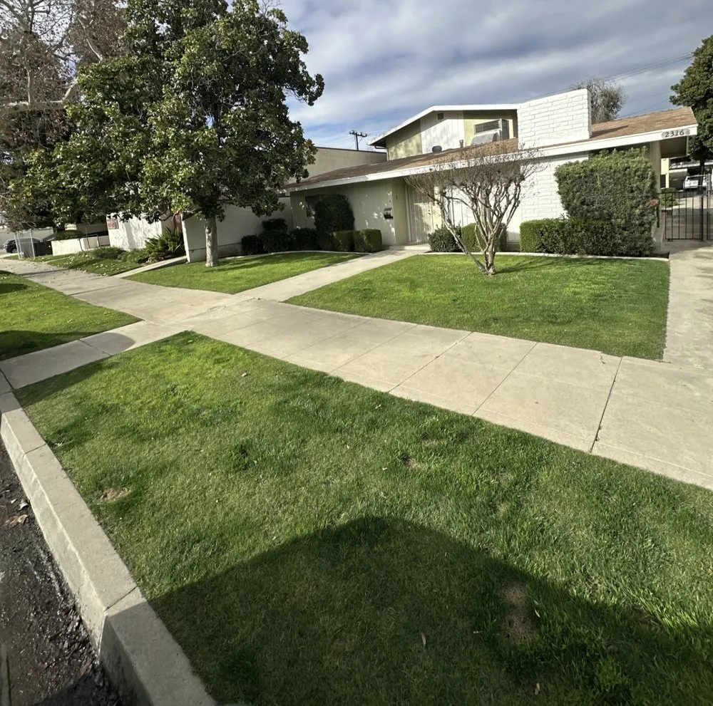 Reliable yard cleanup service in Bakersfield, CA - All Out Exteriors