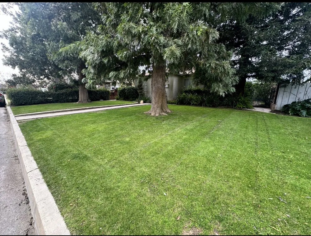 Custom outdoor landscaping experts serving Bakersfield, CA - All Out Exteriors