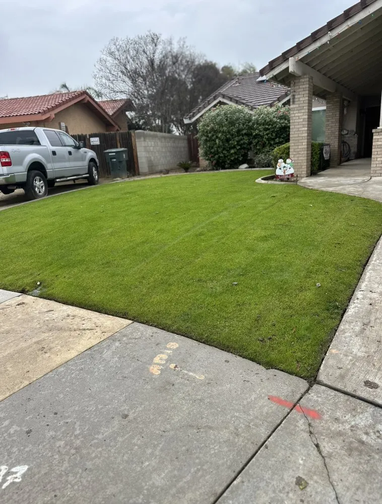 Trusted lawn care service in Bakersfield, CA by All Out Exteriors