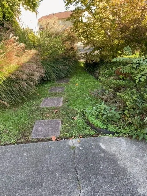 Custom lawn care service experts serving Hurricane, WV - All Out Landscape