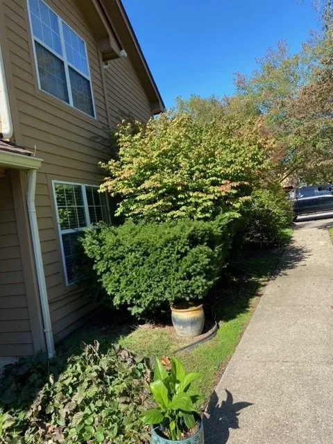 Local yard cleanup service in Hurricane, WV - All Out Landscape