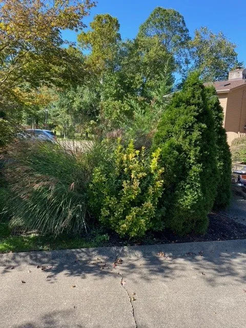 Custom garden landscaping in Hurricane, WV - All Out Landscape