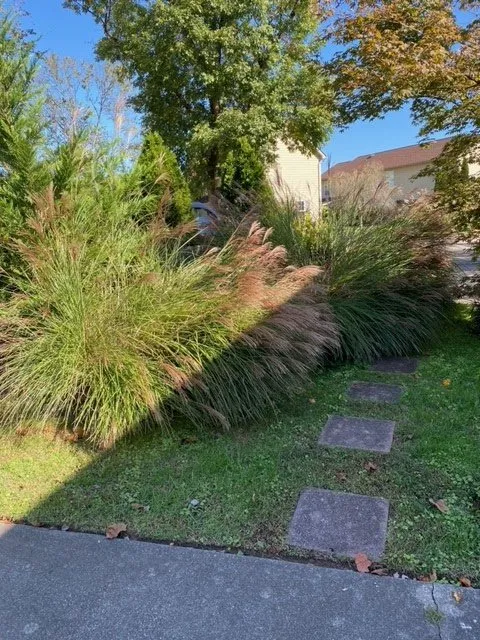 Expert garden landscaping in Hurricane, WV - All Out Landscape