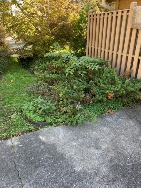 Top-rated garden landscaping in Hurricane, WV - All Out Landscape