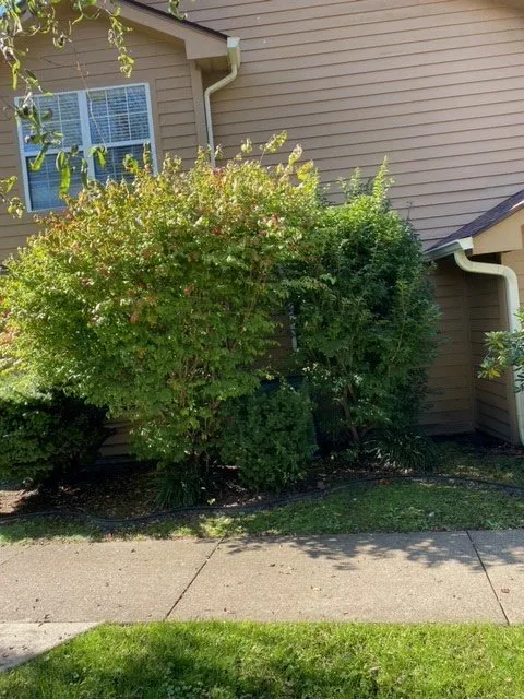 Trusted garden landscaping experts serving Hurricane, WV - All Out Landscape