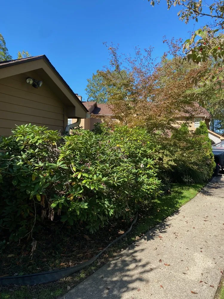 Expert landscape installation experts serving Hurricane, WV - All Out Landscape