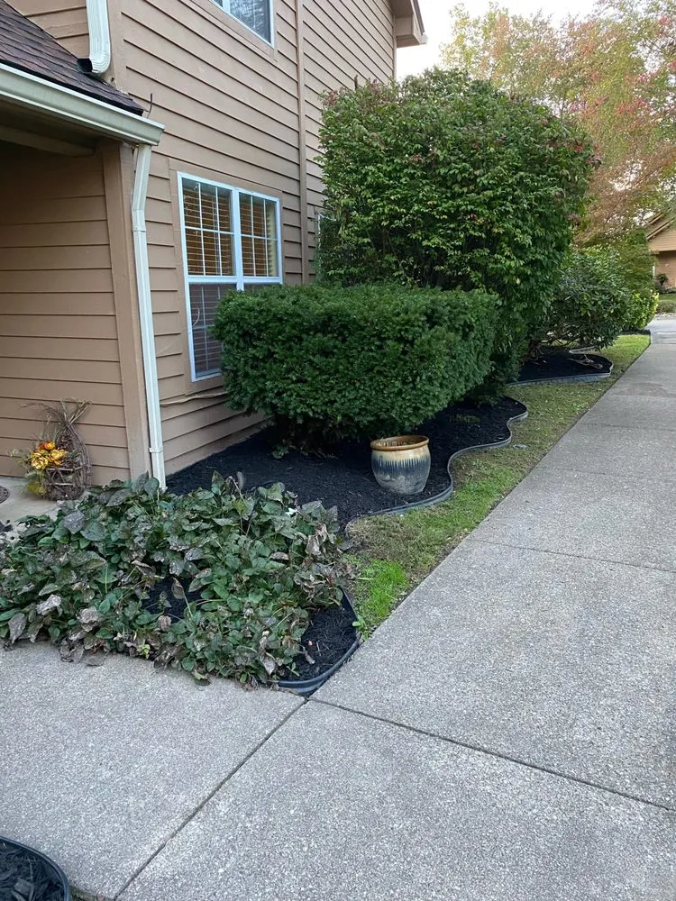 Top-rated residential landscaping in Hurricane, WV by All Out Landscape